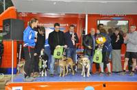 PodiumsOlivierHendry
